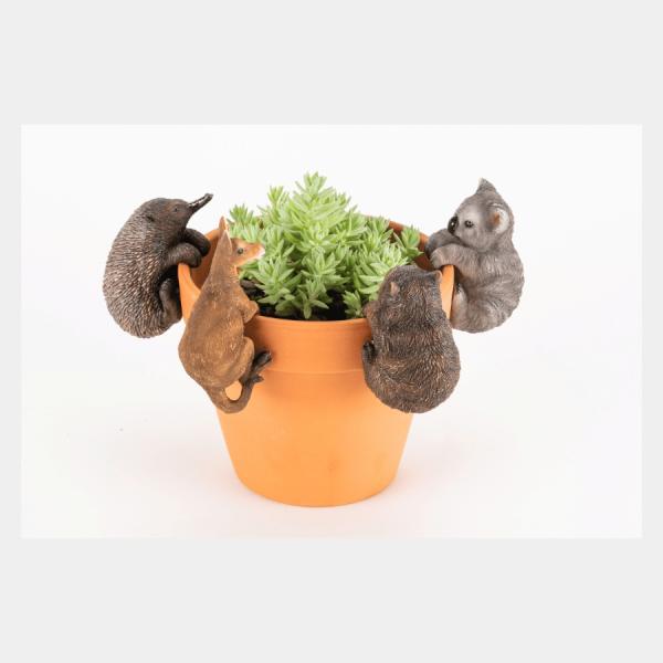 Aussie Animal Pot Sitters  |   Animal Garden Ornaments Animal Garden Ornaments Animal Garden Ornaments