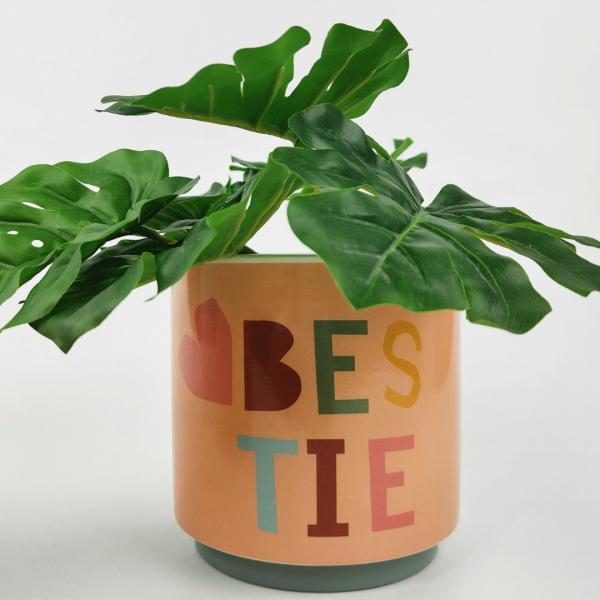 Bestie Planter  |   Trendy Pots & Planters Pots & Planters Quirky Pots & Planters