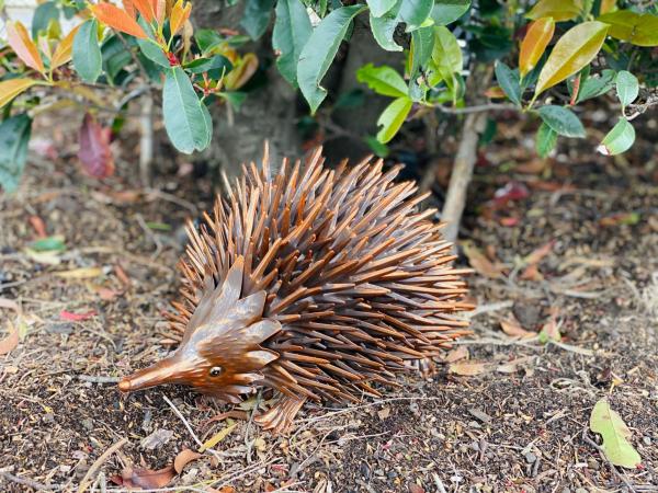 Bronze Echidna  |   Rusted Animal Ornaments Animal Garden Ornaments Animal Garden Ornaments