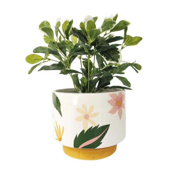 Cassia Floral Ceramic Planter  |   Classic Garden Pots Classic Garden Pots Classic Garden Pots