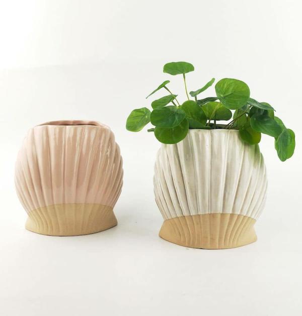 Clam Shell Planter  |   Quirky Pots & Planters Ceramic Pots & Planters Ceramic Pots & Planters