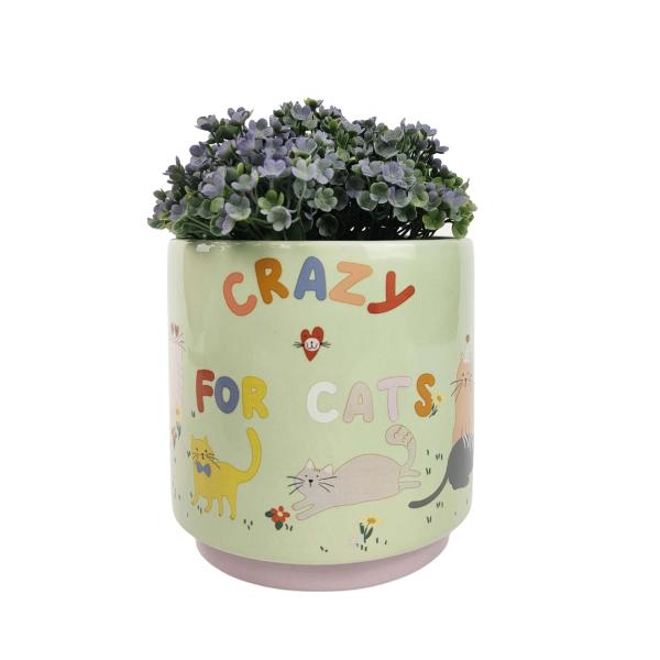 Crazy For Cats Planter  |   Quirky Pots & Planters Pots & Planters Quirky Pots & Planters