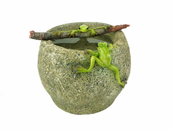 Curious Froggy On Pot  |   Quirky Pots & Planters Pots & Planters Quirky Pots & Planters