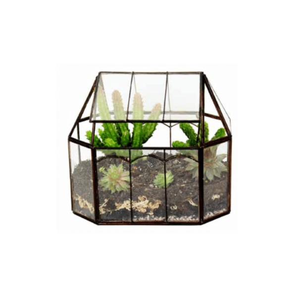 Curved Terrarium  |   Classic Garden Pots Classic Garden Pots Classic Garden Pots