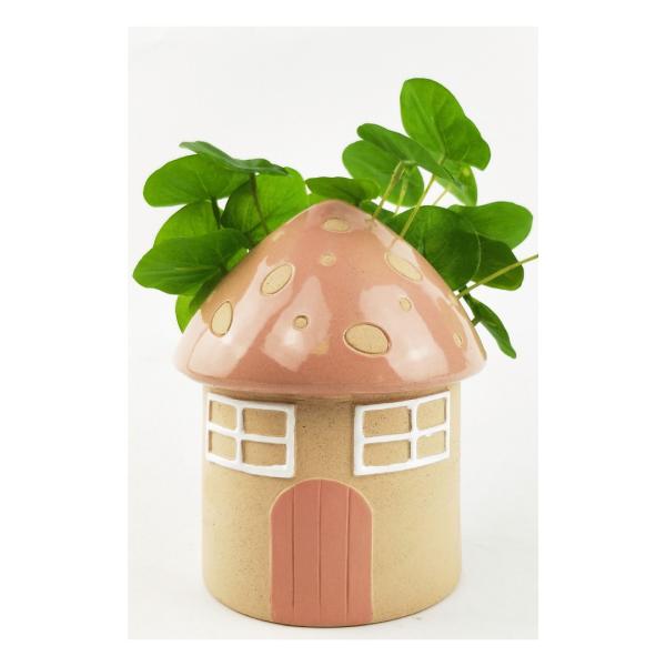 Fairy House Planter  |   Quirky Pots & Planters Pots & Planters Quirky Pots & Planters