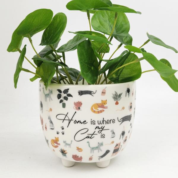 Home Is Where My Cat Is Planter  |   Dog & Cat Pots Dog & Cat Pots Dog & Cat Pots