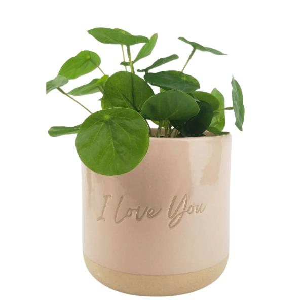 I Love You Planter  |   Classic Garden Pots Classic Garden Pots