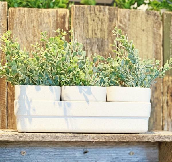 Micro Herb Planter  |   Trendy Pots & Planters Pots & Planters Trendy Pots & Planters