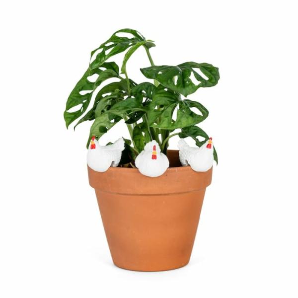 Pot Sitter – Chicken (Small White)  |   Pot Sitters Duck & Chicken Garden Ornaments Duck & Chicken Garden Ornaments