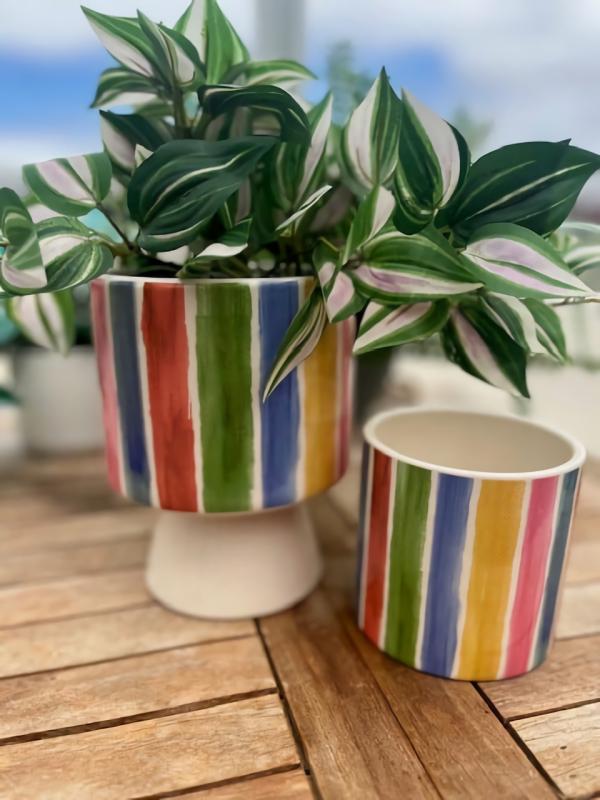 Rainbow Stripe Pot  |   Trendy Pots & Planters Pots & Planters Trendy Pots & Planters