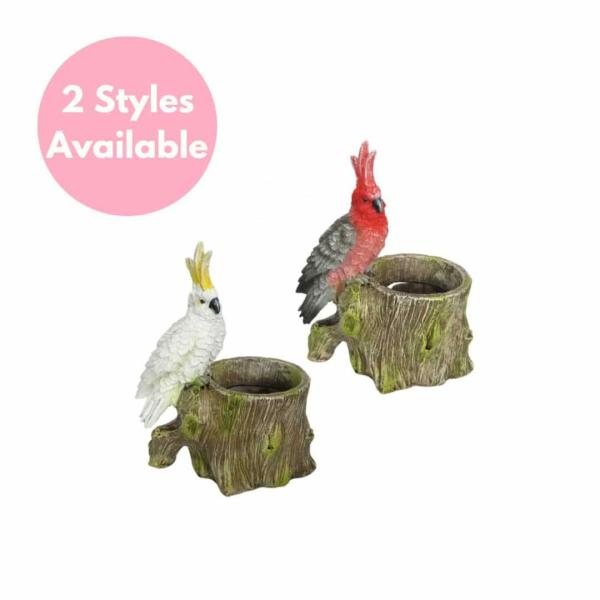 Resin Bird Pot  |   Quirky Pots & Planters Pots & Planters Quirky Pots & Planters