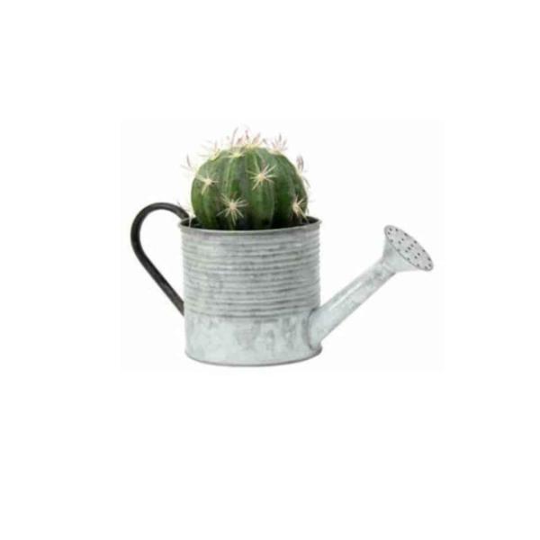 Round Watering Can Planter  |   Trendy Pots & Planters Pots & Planters Trendy Pots & Planters