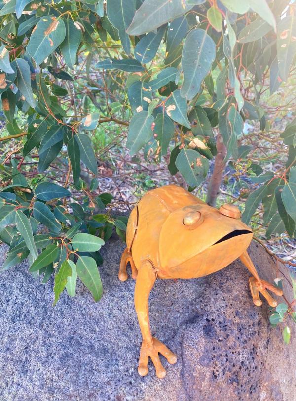 Rust Sitting Frogs  |   Animal Garden Ornaments Animal Garden Ornaments Animal Garden Ornaments