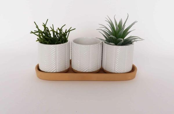 Set Of 3 Planters With Saucer  |   Ceramic Homeware Ceramic Homeware Ceramic Homeware