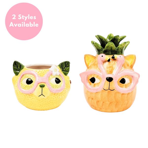 Tropicana Cat Planter / Ornament  |   Ceramic Pots & Planters Ceramic Pots & Planters Ceramic Pots & Planters