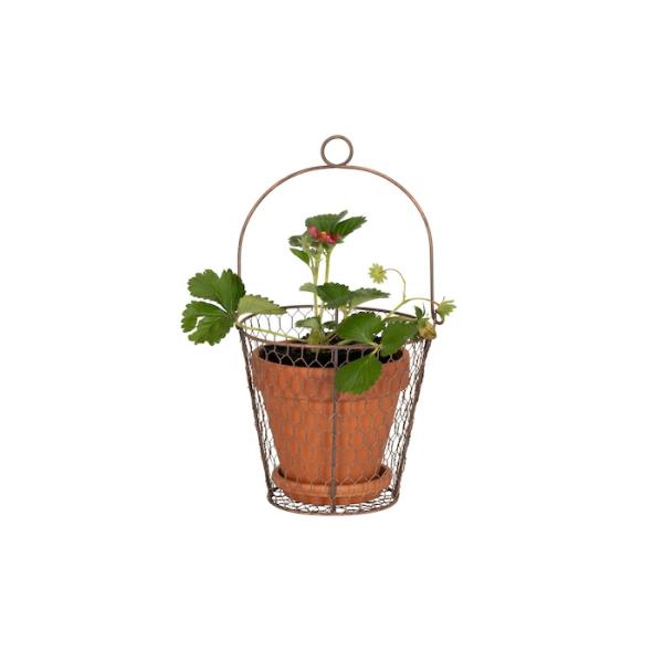 Wire Pot Hanger – 20Cm  |   Hanging Pots & Planters Hanging Pots & Planters Hanging Pots & Planters