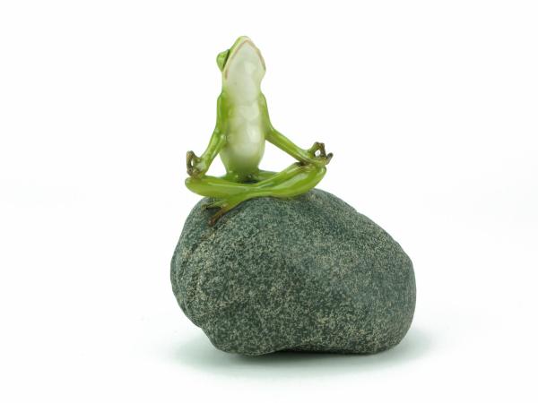 Zen Froggy  |   Animal Garden Ornaments Animal Garden Ornaments Animal Garden Ornaments