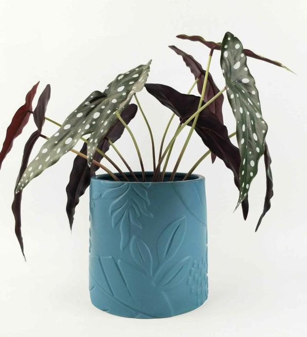 Foliage Planter – Sky Blue  |   Classic Garden Pots Classic Garden Pots Classic Garden Pots