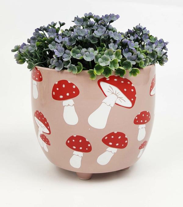 Toadstool Planter  |   Quirky Pots & Planters Pots & Planters Quirky Pots & Planters